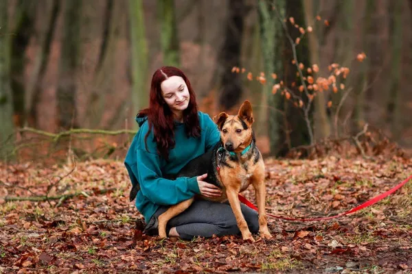 Pies do adopcji, Elbląg, 1 lutego 2024 (2/5)