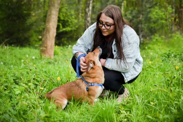 Znaleziono psa, Sosnowiec, 16 lutego 2024 (3/5)