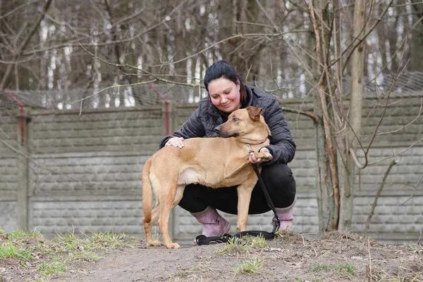 Pies do adopcji, Zgierz, 19 lutego 2024 (2/5)