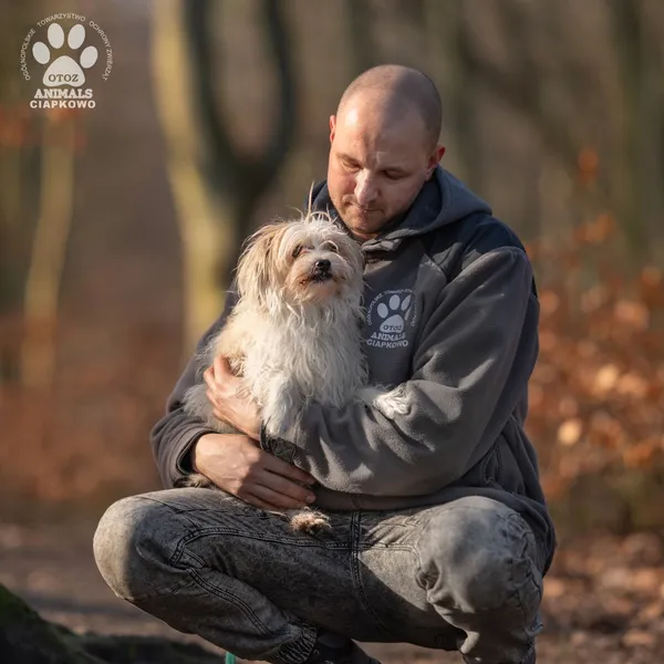 Pies do adopcji, Gdynia, 19 stycznia 2026 (3/5)