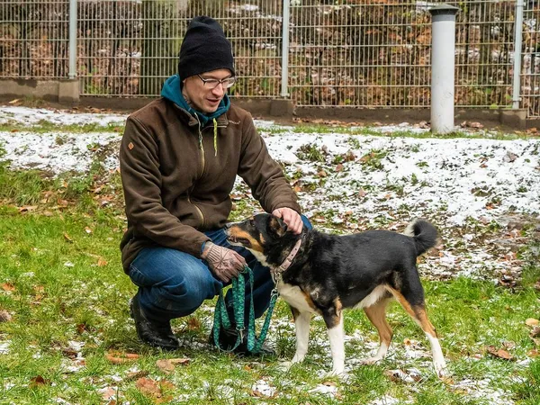 Pies do adopcji, Sopot, 30 czerwca 2024 (2/5)