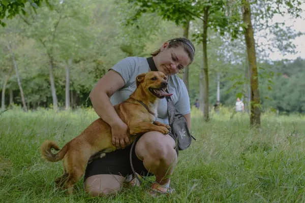 Pies do adopcji, Radom, 24 września 2025 (4/5)