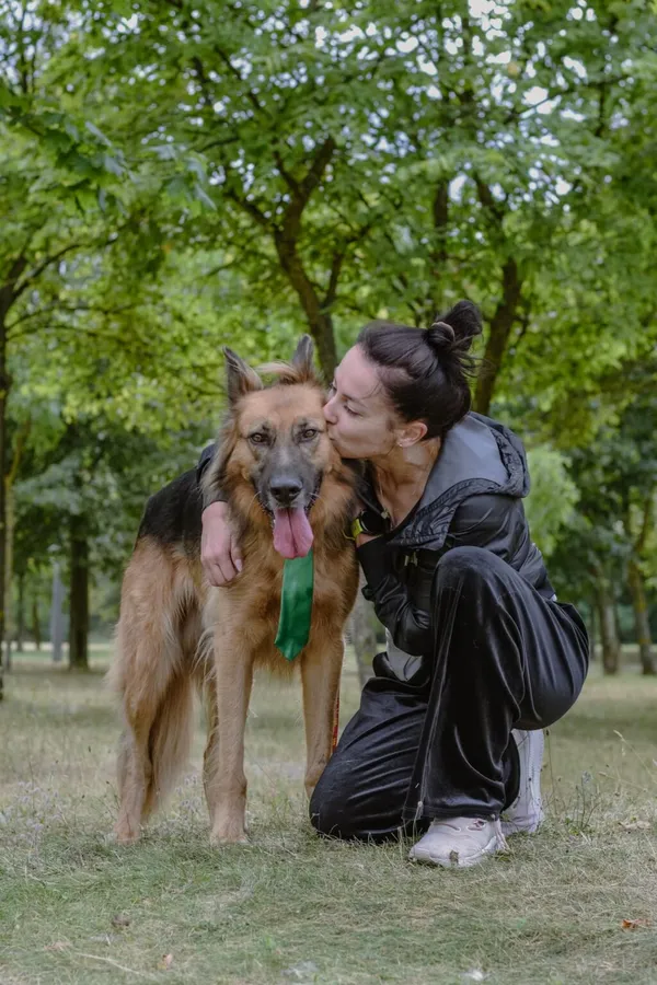 Pies do adopcji, Radom, 2 września 2025 (5/5)