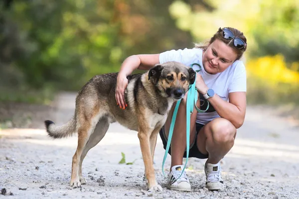 Pies do adopcji, Nowodwór, 12 września 2024 (5/5)