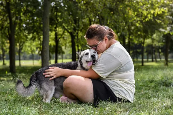 Pies do adopcji, Radom, 13 września 2024 (3/5)