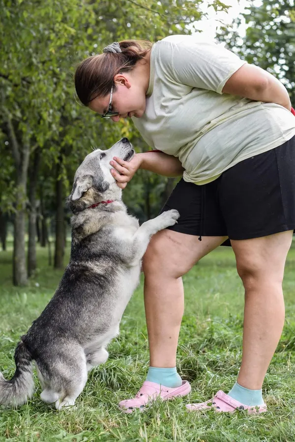 Pies do adopcji, Radom, 13 września 2024 (4/5)