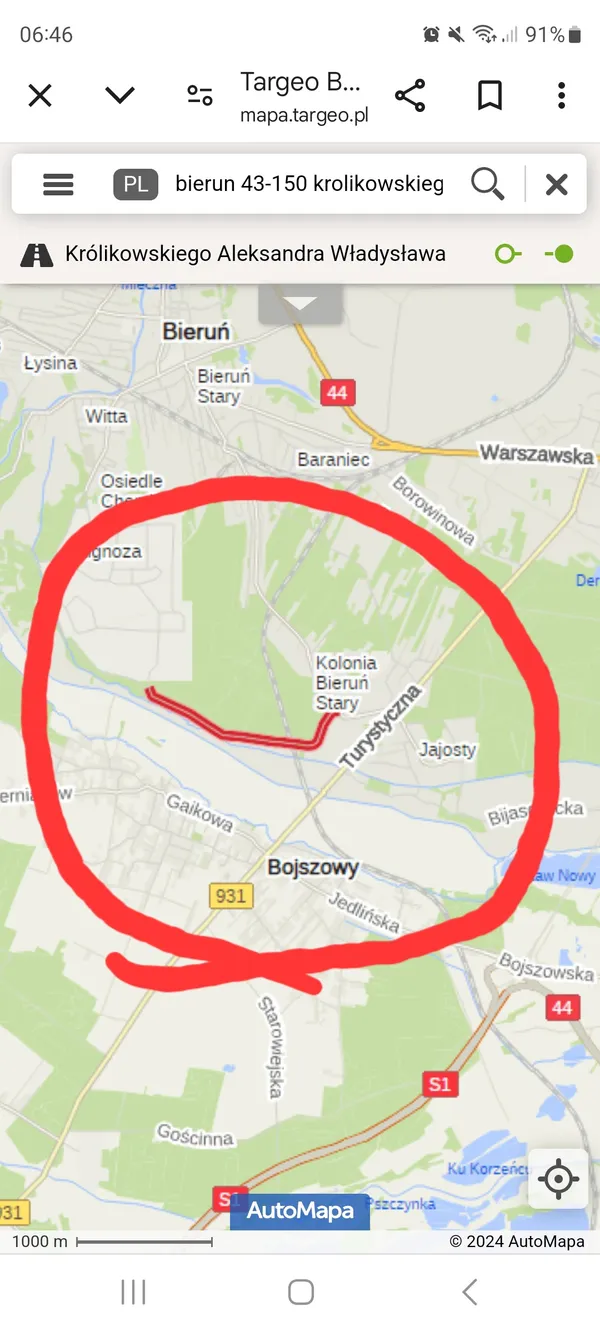 Zaginął pies, Bojszowy, 23 września 2024 (3/3)