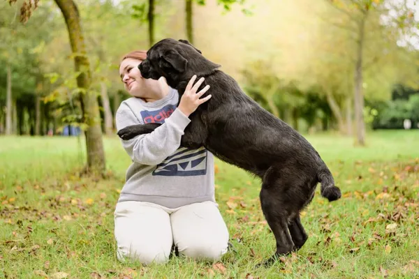 Pies do adopcji, Radom, 24 września 2025 (2/5)