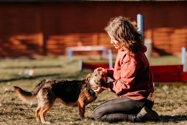Pies do adopcji, Czartki, 18 października 2024 (5/5)