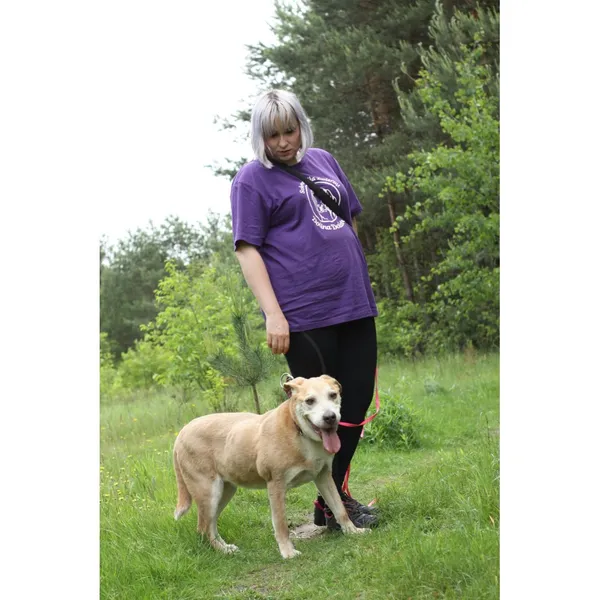 Znaleziono psa, Białystok, 22 października 2024 (2/4)