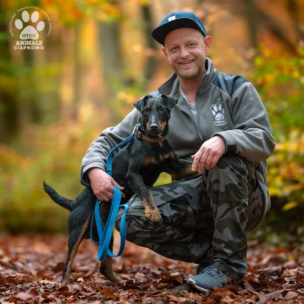 Pies do adopcji, Gdynia, 18 listopada 2024 (2/5)