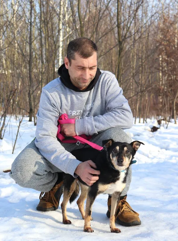 Znaleziono psa, Łódź, 26 listopada 2024 (5/5)