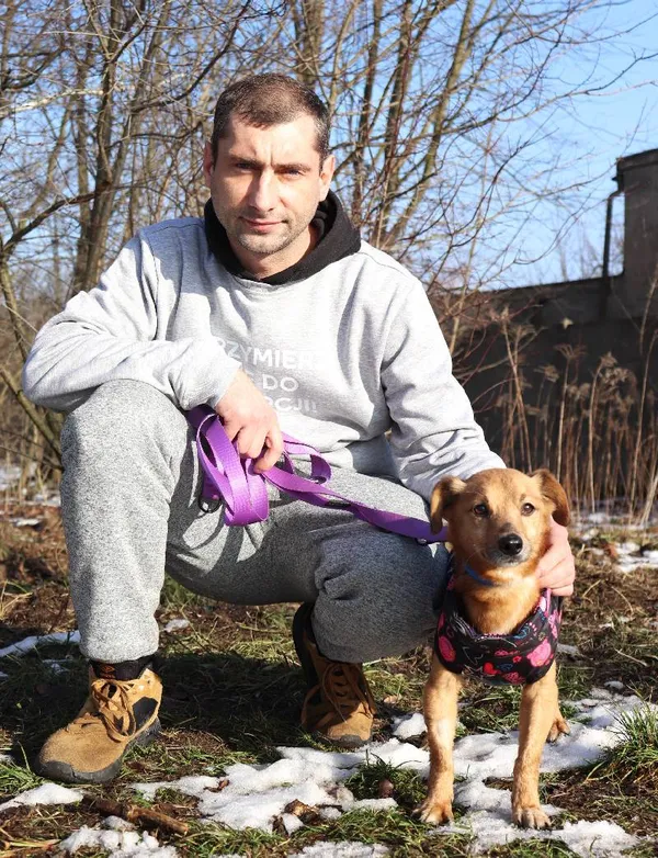 Znaleziono psa, Łódź, 29 listopada 2024 (3/5)