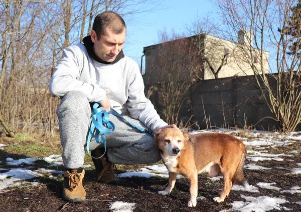 Znaleziono psa, Łódź, 2 grudnia 2024 (3/5)