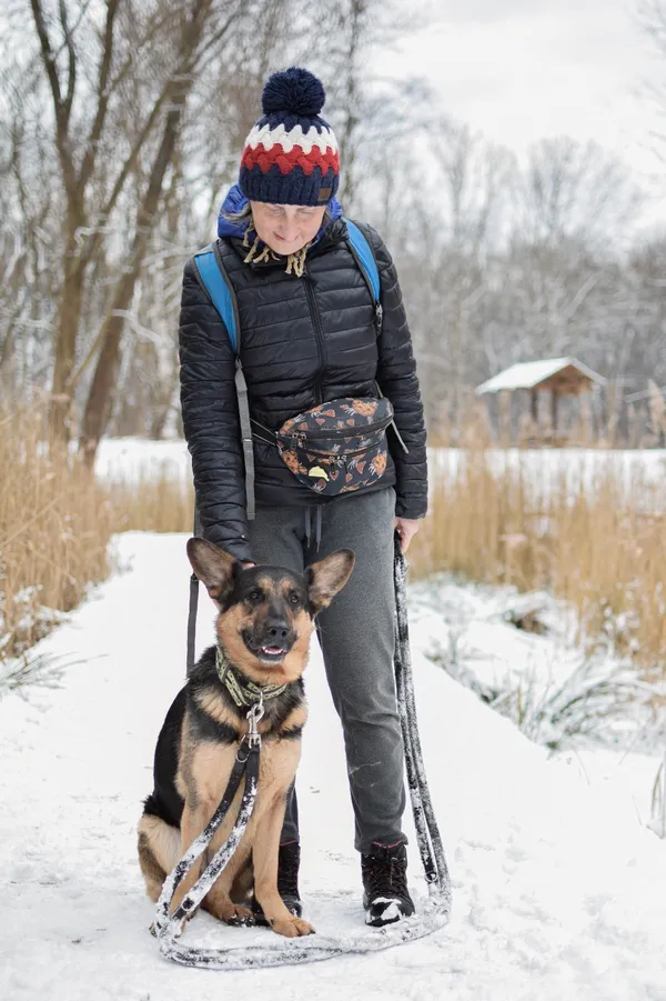 Znaleziono psa, Sosnowiec, 1 grudnia 2024 (2/5)