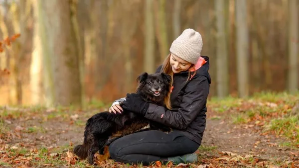 Pies do adopcji, Elbląg, 28 listopada 2024 (1/5)