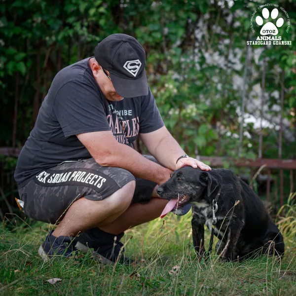 Pies do adopcji, Starogard Gdański, 20 marca 2024 (5/5)