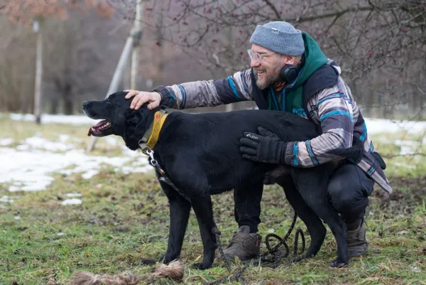 Pies do adopcji, Kraków, 20 sierpnia 2024 (1/5)
