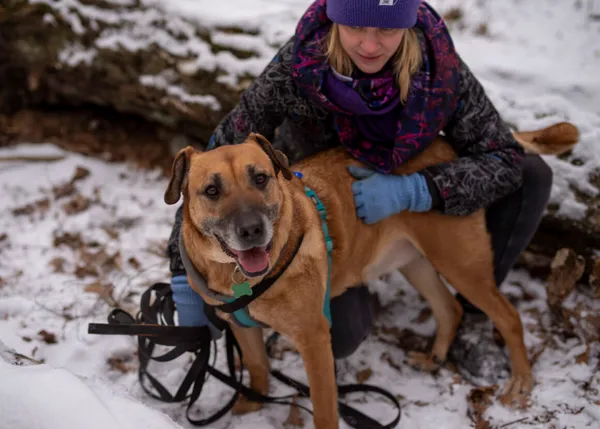 Pies do adopcji, Milanówek, 16 lutego 2025 (4/5)