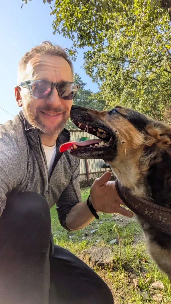 Pies do adopcji, Milanówek, 20 października 2024 (4/5)