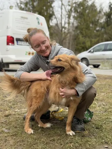 Pies do adopcji, Kraków, 9 grudnia 2024 (1/4)