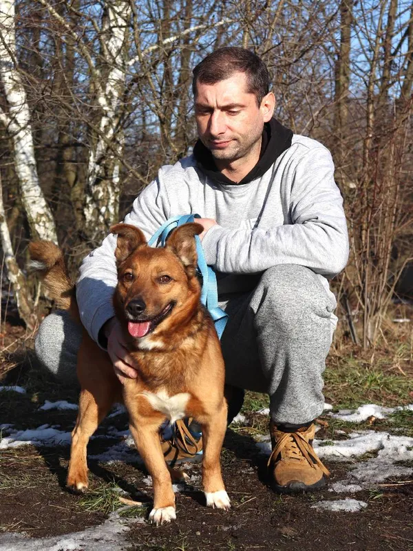 Znaleziono psa, Łódź, 1 stycznia 2025 (2/5)