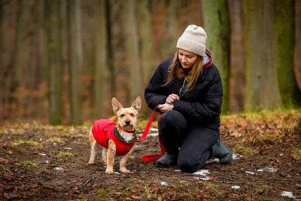 Pies do adopcji, Elbląg, 17 stycznia 2025 (4/5)