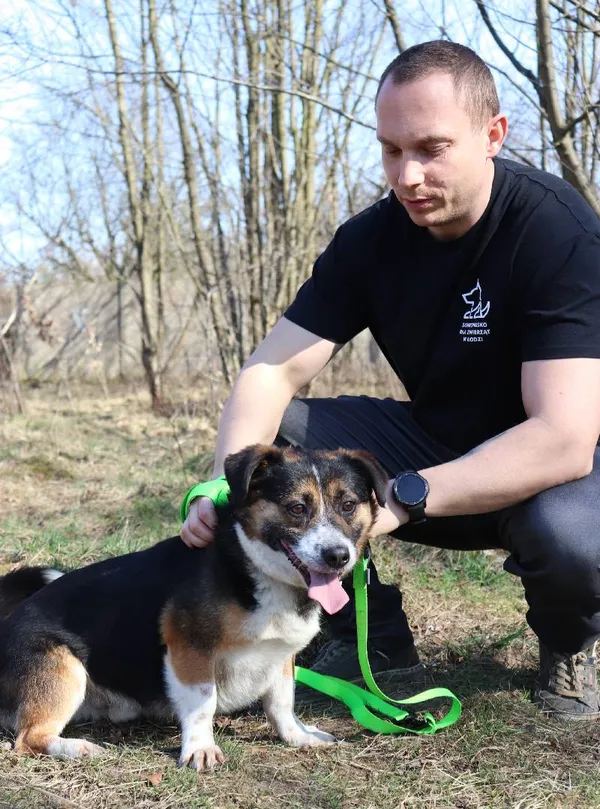 Znaleziono psa, Łódź, 19 stycznia 2025 (4/5)