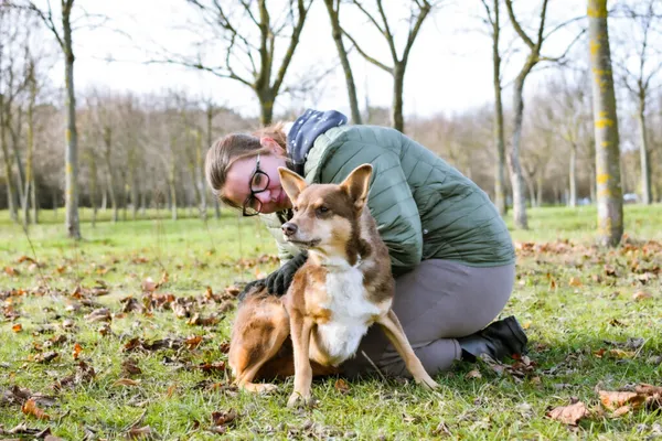 Pies do adopcji, Radom, 8 sierpnia 2025 (4/5)