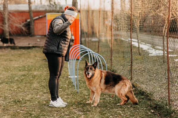 Pies do adopcji, Czartki, 24 stycznia 2025 (2/5)