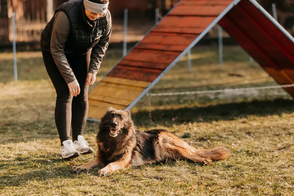 Pies do adopcji, Czartki, 24 stycznia 2025 (5/5)