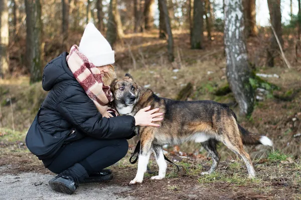 Pies do adopcji, Nowodwór, 24 stycznia 2025 (1/5)