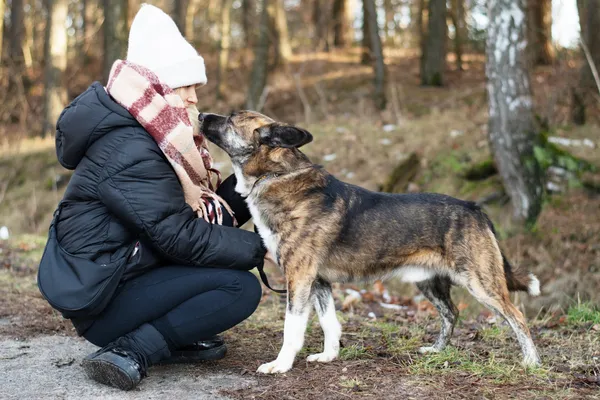 Pies do adopcji, Nowodwór, 24 stycznia 2025 (2/5)