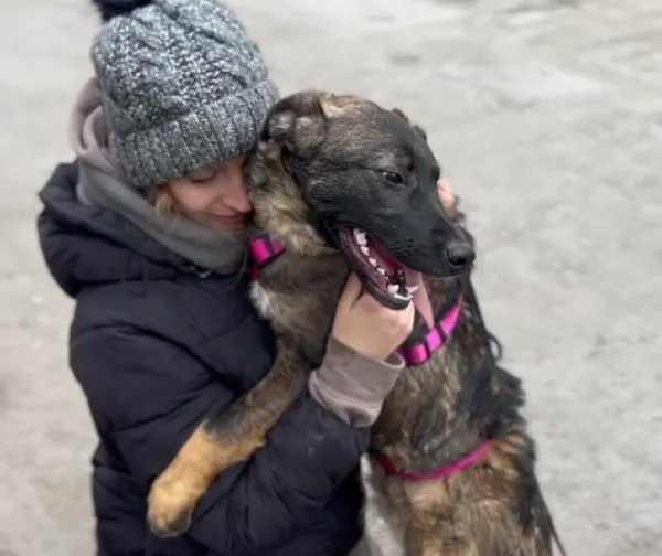 Pies do adopcji, Głowno, 27 stycznia 2025 (4/5)