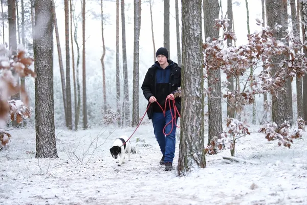 Pies do adopcji, Piła, 10 marca 2024 (5/5)