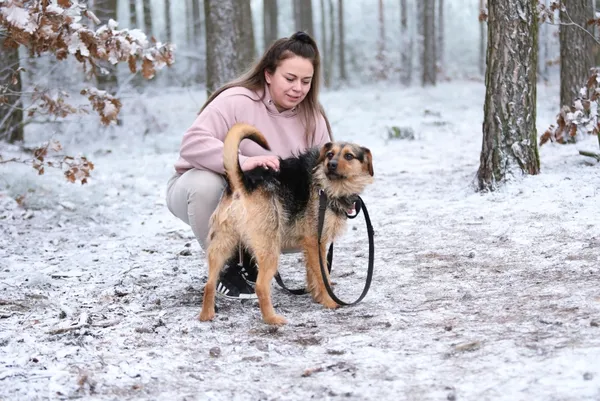 Pies do adopcji, Piła, 2 października 2023 (2/4)