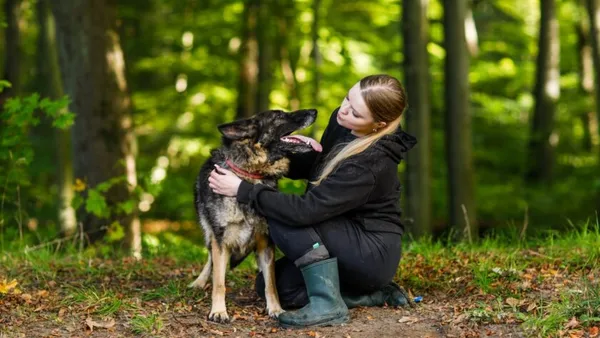 Pies do adopcji, Elbląg, 9 października 2024 (1/5)