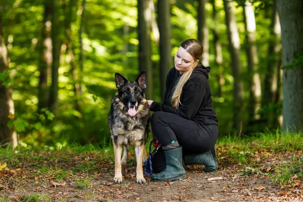 Pies do adopcji, Elbląg, 9 października 2024 (4/5)