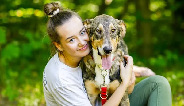 Pies do adopcji, Elbląg, 30 sierpnia 2024 (1/5)