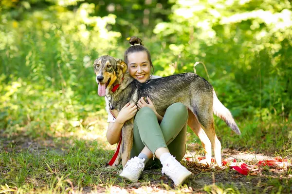 Pies do adopcji, Elbląg, 30 sierpnia 2024 (2/5)