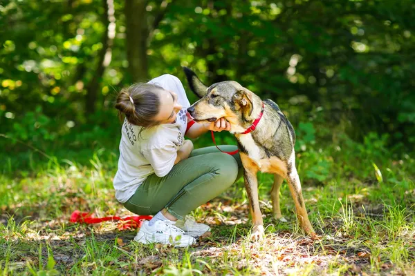 Pies do adopcji, Elbląg, 30 sierpnia 2024 (3/5)