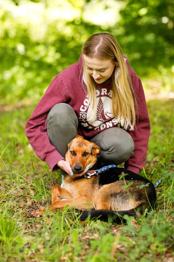 Pies do adopcji, Elbląg, 11 czerwca 2024 (2/5)
