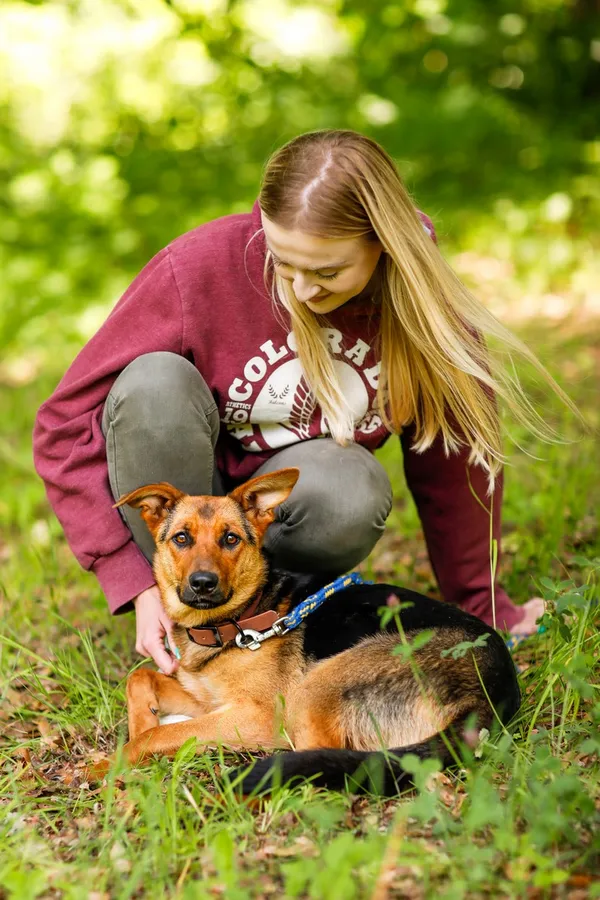 Pies do adopcji, Elbląg, 11 czerwca 2024 (3/5)