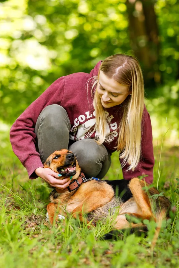 Pies do adopcji, Elbląg, 11 czerwca 2024 (4/5)