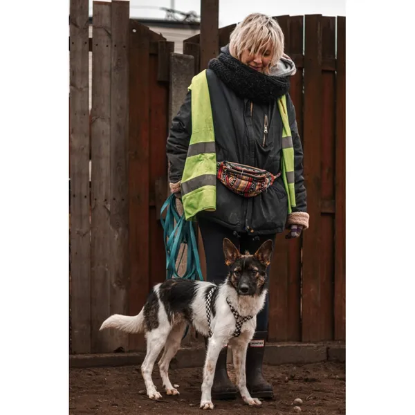 Znaleziono psa, Białystok, 6 listopada 2024 (4/4)