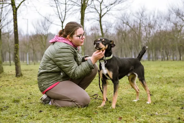 Pies do adopcji, Radom, 2 lutego 2025 (5/5)