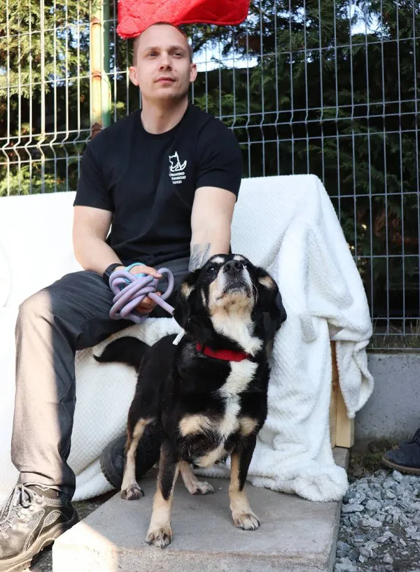 Znaleziono psa, Łódź, 4 lutego 2025 (4/5)