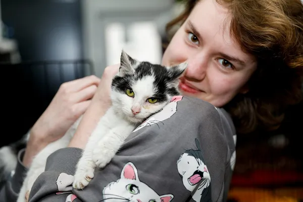 Kot do adopcji, Elbląg, 5 lutego 2025 (4/5)