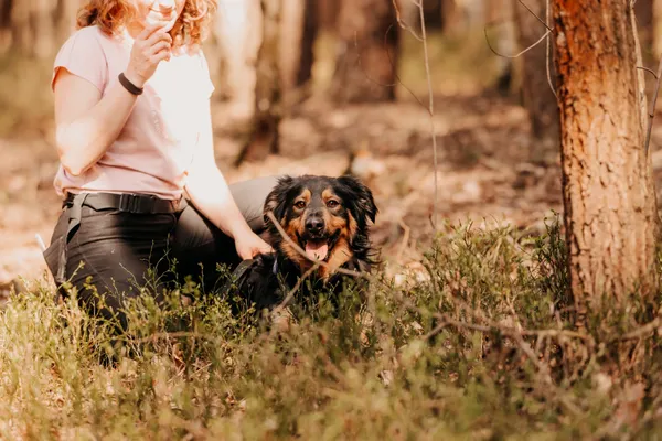 Pies do adopcji, Czartki, 12 lutego 2025 (3/5)