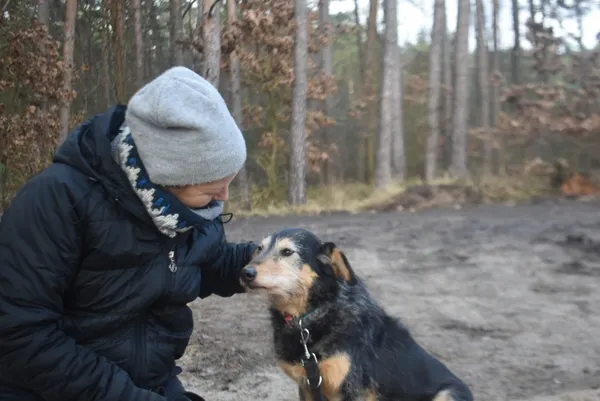 Pies do adopcji, Piła, 1 września 2020 (5/5)